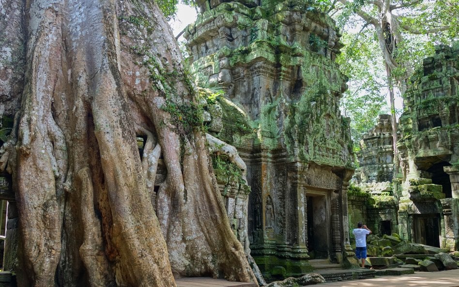 Przyroda na dobre rozgościła się w Ta Prohm, ofiarowując przybyszowi najmocniejsze wizualne przeżyci