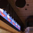 Niedźwiedzie, czyli trzy spółki, którym grozi przecena akcji: Medicalgorithmics, Mercator i XTB