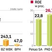 Bez niespodzianek, czyli gigantyczne zyski liderów