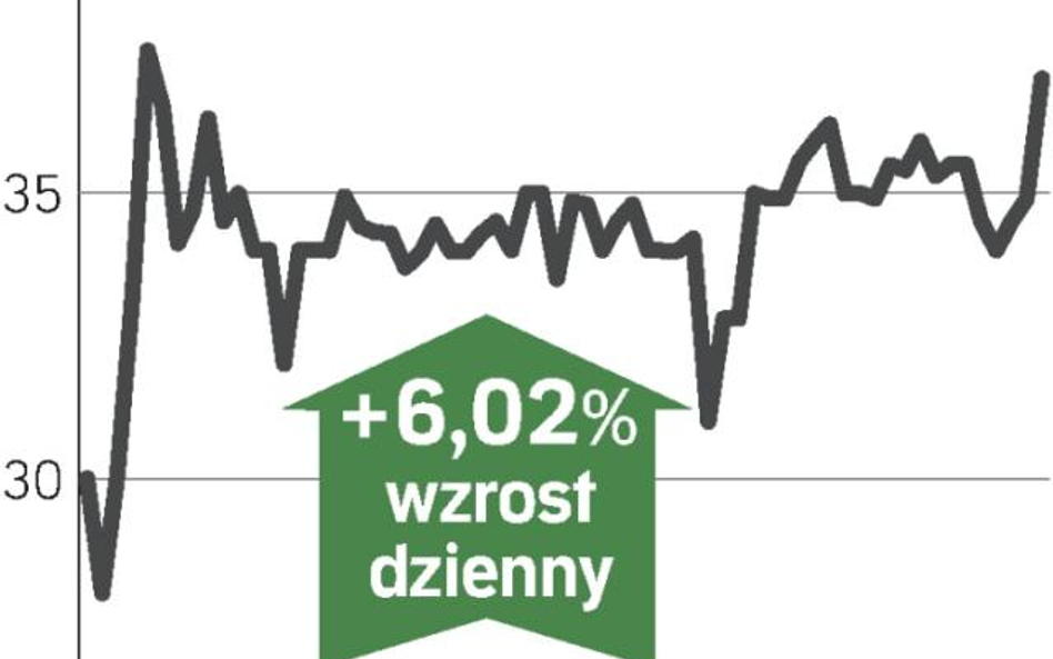 Indykpol