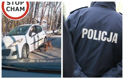 Jakie konsekwencje prawne poniesie 72-latek? Policja nie podjęła jeszcze decyzji