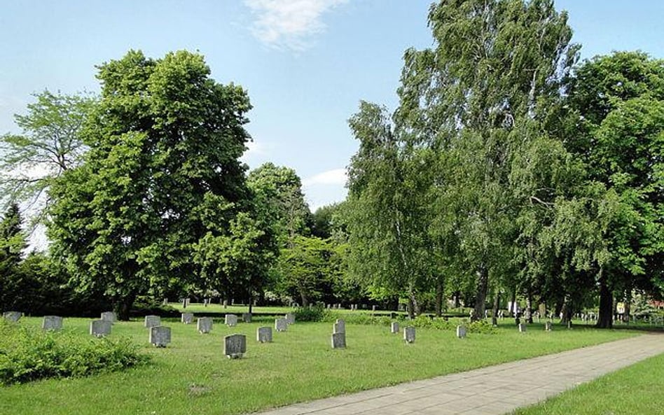 Cmentarz wojenny w Stargardzie (widok ogólny)