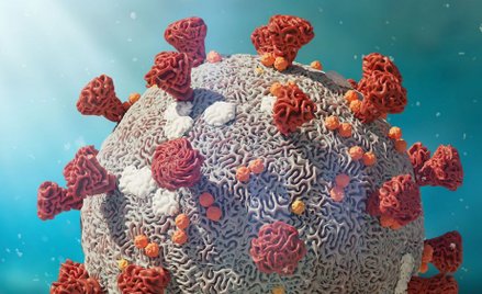 Biomed prezentuje polski lek na Covid-19