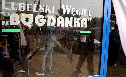 Skarb sprzedał 47 proc. akcji Bogdanki