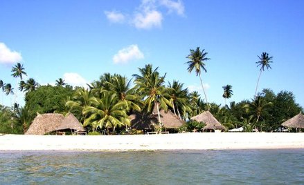 Bez szczepień na żółtą febrę nie ma wjazdu na Zanzibar?