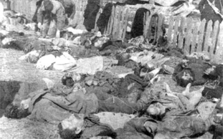 Ukraińcy zaatakowali polską wieś