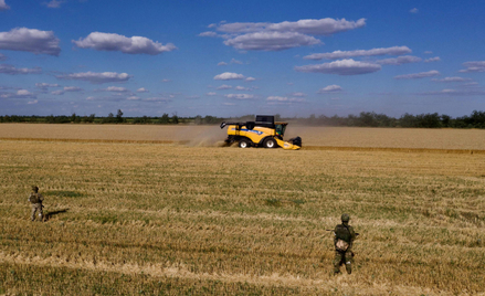 Ukraińskie firmy rolne codziennie zmagają się z trudami wojny i starają się odpowiedzieć na nowe wyz