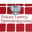 Współpraca SLD i Ruchu Palikota w Małopolsce?