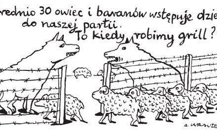 Średnio 30 owiec i baranów wstępuje dziennie do naszej partii. To kiedy robimy grill?