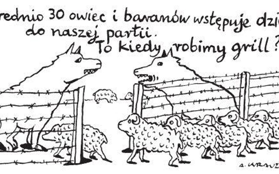 Średnio 30 owiec i baranów wstępuje dziennie do naszej partii. To kiedy robimy grill?