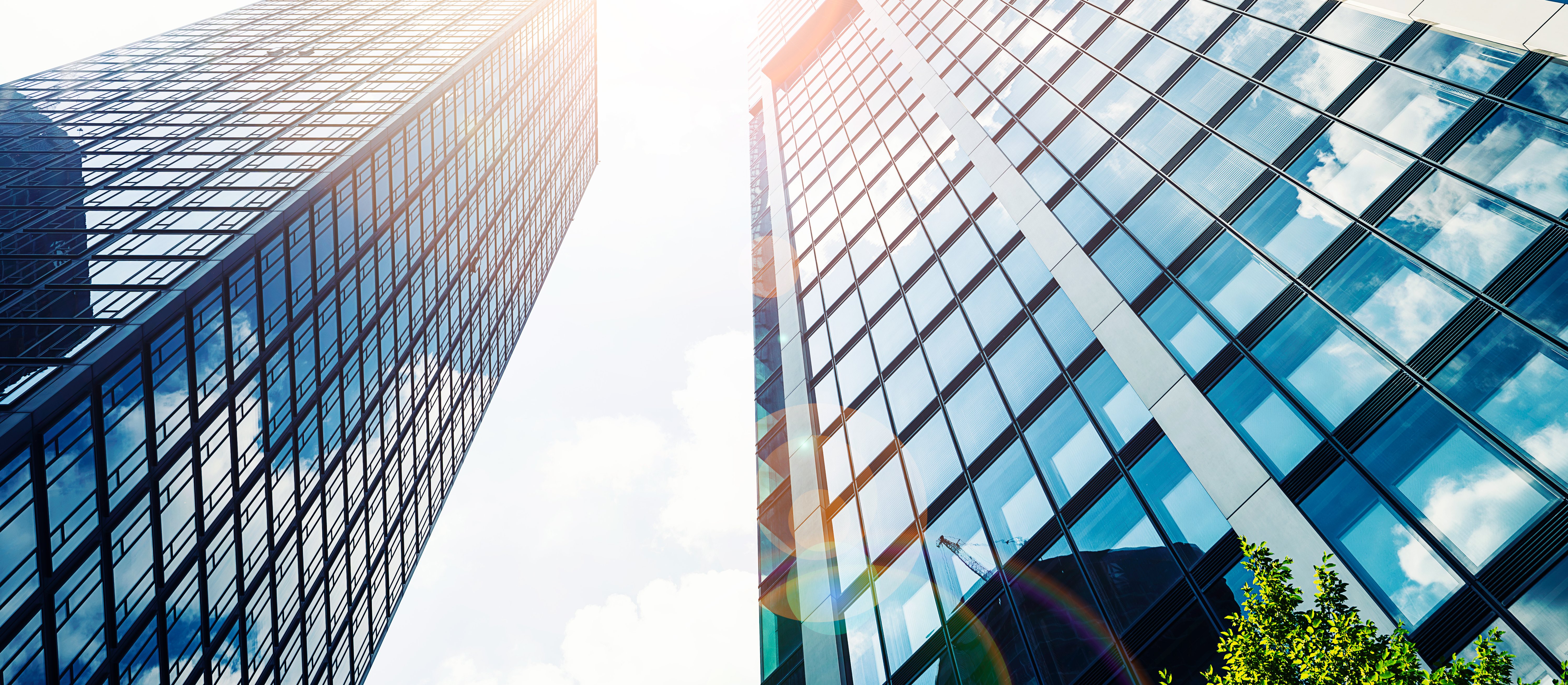 Kopia - Raportowanie ESG a dojrzałość zarządcza organizacji