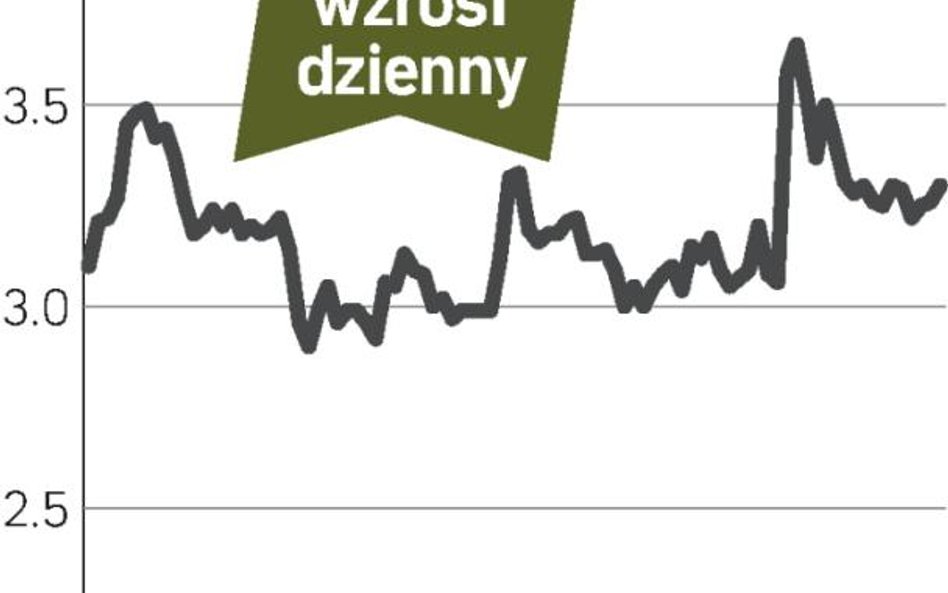 Cognor ostro w górę