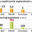 Banki nie planują emisji akcji