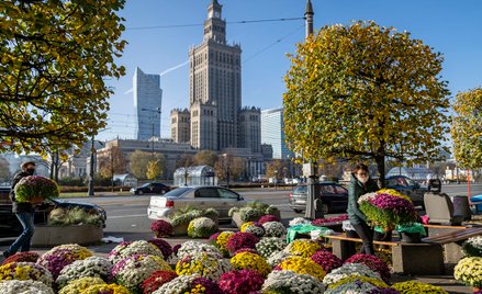 Krzysztof Adam Kowalczyk: Teraz lockdown 2.0, potem areszt domowy?