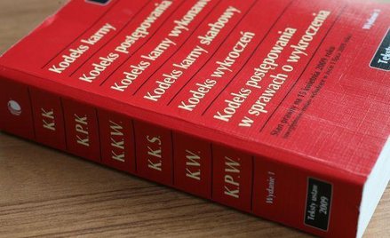 Rozszerzenie karalności pornografii z udziałem małoletnich znalazło miejsce w projekcie nowelizacji 