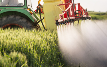 Rada Europejska nie chce ograniczać stosowania pestycydów