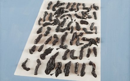 Rafał Bujnowski, Bez tytułu (Ciastka), 2004 r.