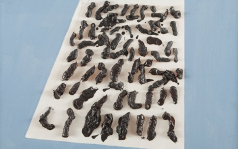 Rafał Bujnowski, Bez tytułu (Ciastka), 2004 r.