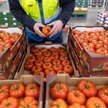 Europejskie stoły zależą teraz od dostaw z Hiszpanii i Maroka