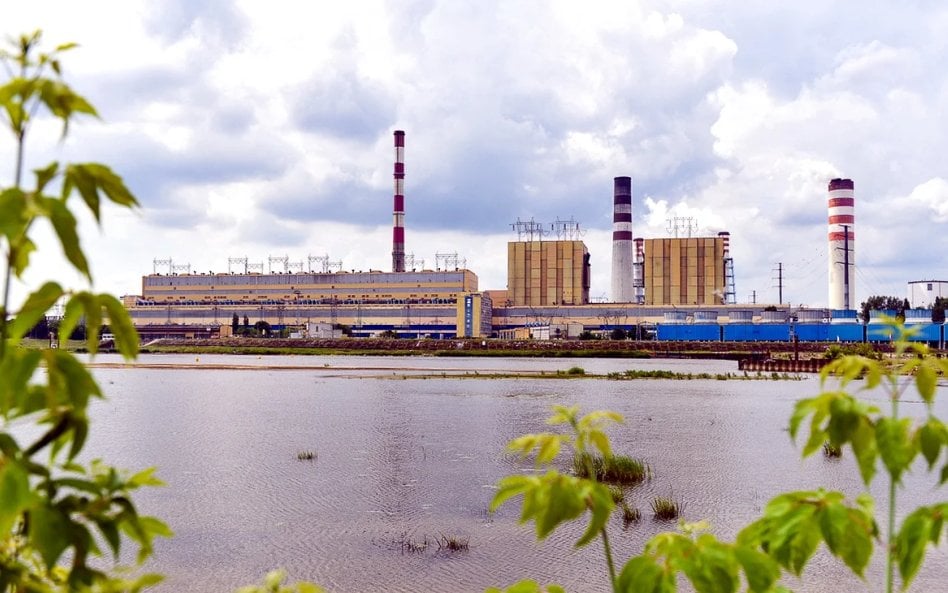 Energia musi płynąć, dlatego dbamy o rzekę. Wisła w okolicach Kozienic pod lupą naukowców