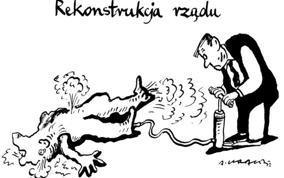 Komentarz rysunkowy. Rekonstrukcja rządu
