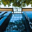 Elemental Holding poszuka finansowania