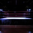 Wrestling. Polacy odkrywają nową brutalną rozrywkę
