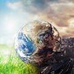 Transformacja biznesowa zgodna z ideą zrównoważonego rozwoju jest dla przedsiębiorstw szansą na uzys