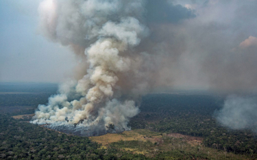 Leonardo DiCaprio uruchamia fundusz na rzecz walki z pożarami w Amazonii.