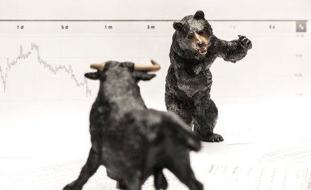 ...i niedźwiedzie, czyli trzy spółki, którym grozi przecena akcji