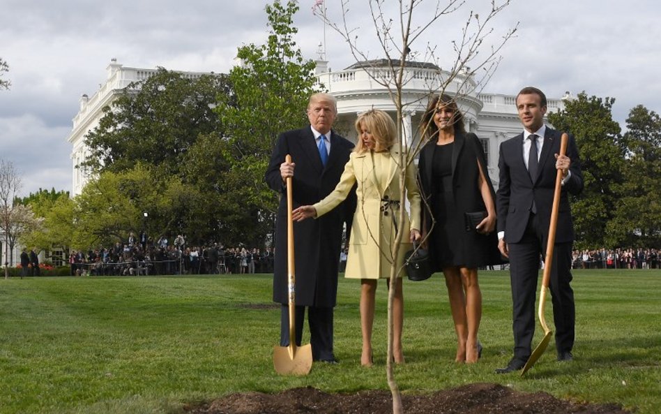 Trump i Macron zasadzili drzewo. Zniknęło po kilku dniach