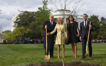 Trump i Macron zasadzili drzewo. Zniknęło po kilku dniach