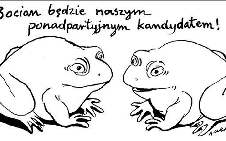 Komentarz rysunkowy