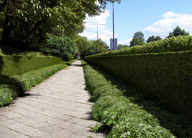 "Zielona ściana" przy Wawelskiej w praktyce