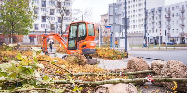 Mikrolasy w miastach: zieleń zatrzymuje wodę i chłodzi powietrze