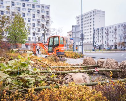 Wprowadzenie standardu ma zapewnić wysoką jakość nowych nasadzeń oraz skuteczną ochronę sadzonych dr