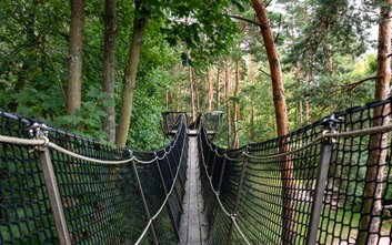 Spacer w koronach drzew to jedna z atrakcji Parku Dolina Wkry w Pomiechówku