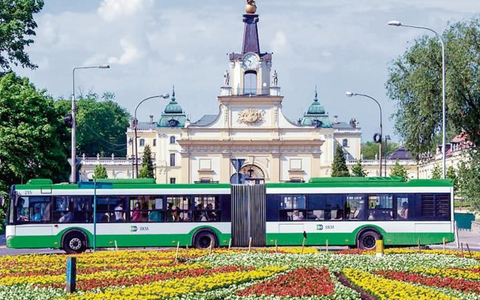 W mieście jest 41 linii dziennych i sześć nocnych, obsługiwanych przez 251 autobusów