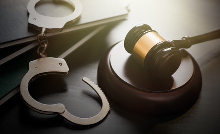 Ich zdaniem proponowane przepisy umożliwią przestępcom łatwiejszą ucieczkę i rozmontują dobrze dział