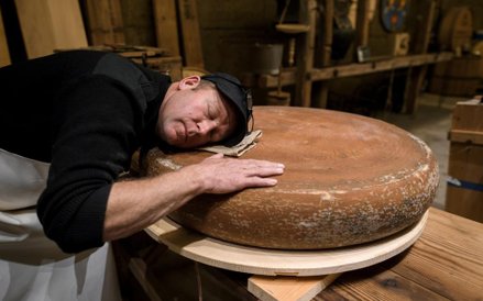 Szwajcarski ser słucha muzyki