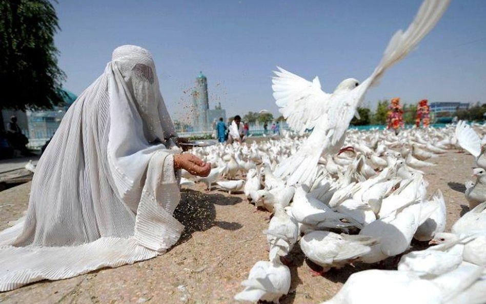 Mimo że 360 milionów dolarów to jedynie niewielki ułamek ze skontrolowanych kontraktów w Afganistani