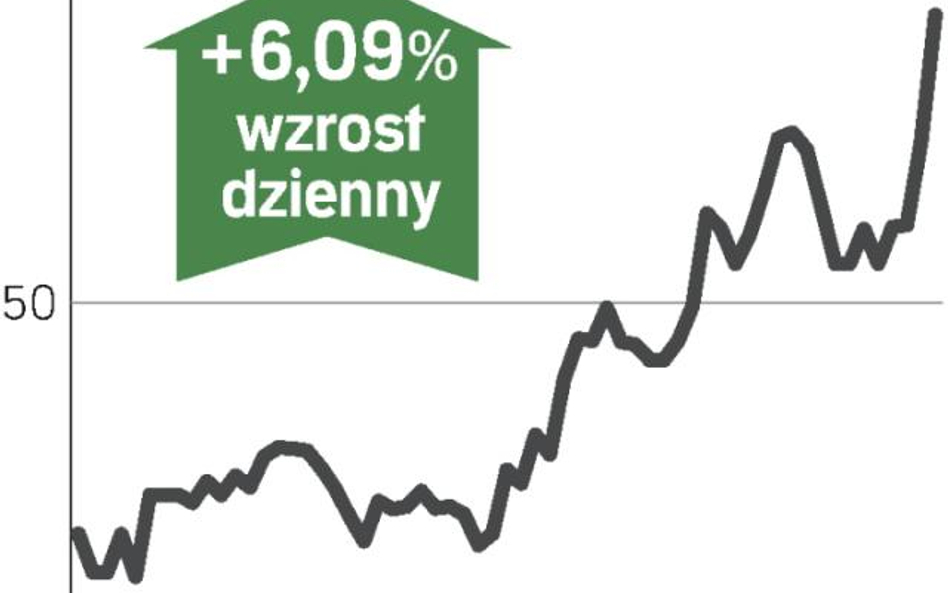 Lider wzrostu w WIG20