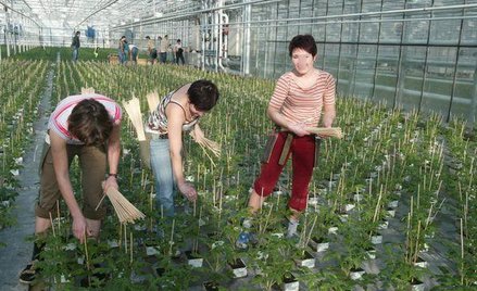 20 tys. zł dla producentów rolnych