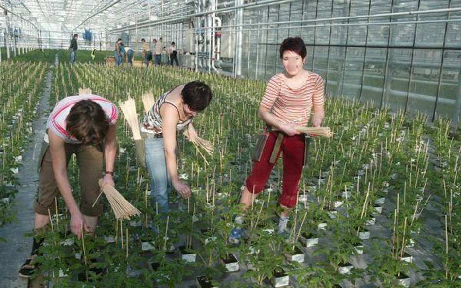 20 tys. zł dla producentów rolnych