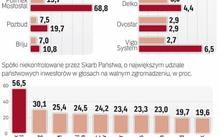 Państwowy akcjonariat bez skarbu państwa