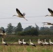 Inwestor musi brać pod uwagę lokalne uwarunkowania środowiskowe