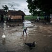 DR Konga: Szczepionki przeciw Eboli w zamian za seks