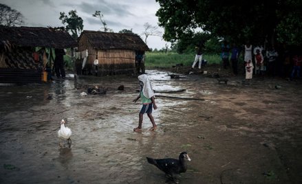 DR Konga: Szczepionki przeciw Eboli w zamian za seks