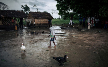 DR Konga: Szczepionki przeciw Eboli w zamian za seks