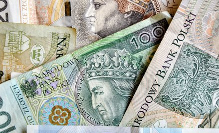 Złoty znów pokazał siłę